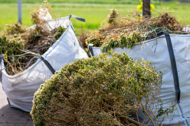 Best Appliance Removal Near Me  in Fulton, IL